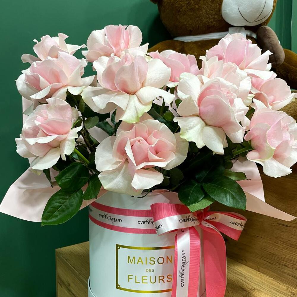 WOW Композиция