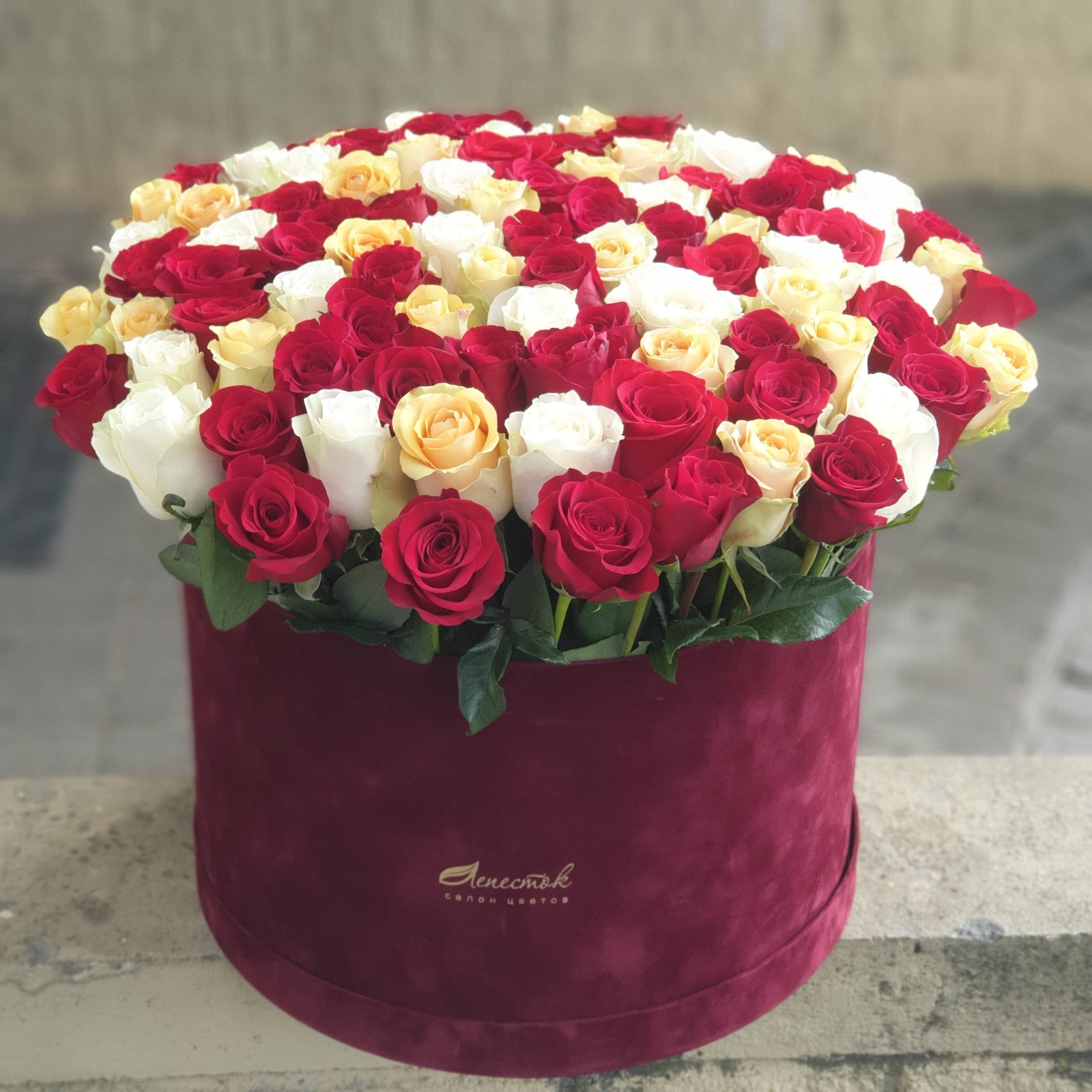 a274483a-8cb2-452a-a3b2-02d507b245b8