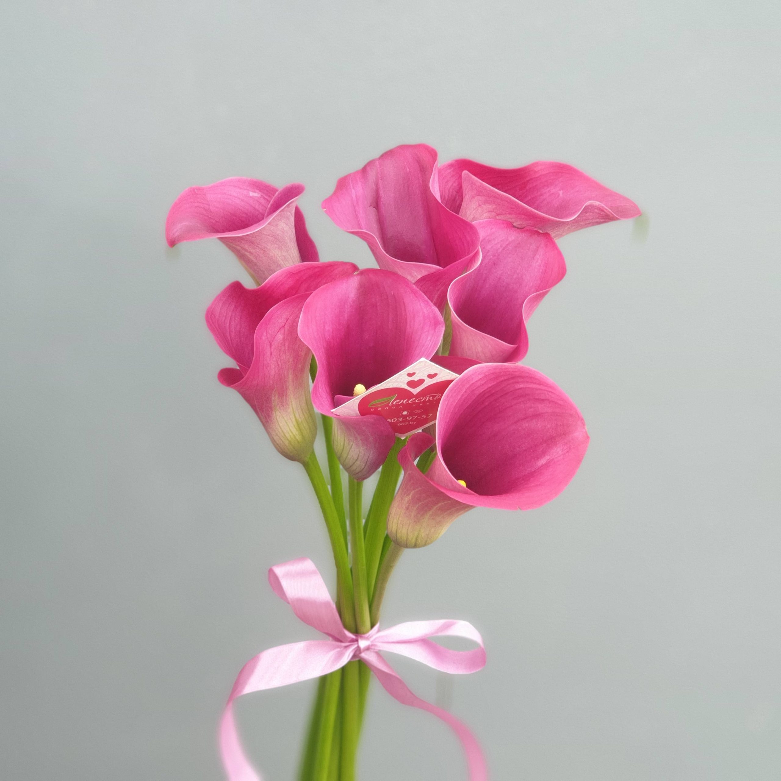 cccc4c84-eca2-40ff-bfc6-40a7e270dc2e